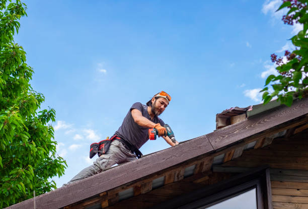 Emergency Roof Repair in Belle Rose, LA